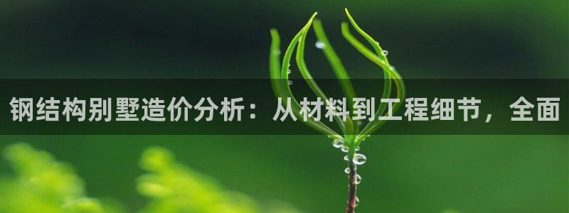 名人堂垫付金额